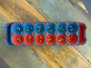 Pra Gente Miúda: Mancala - Jogo Matemático