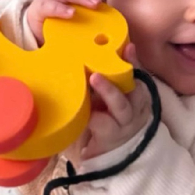 Pato Quá - brinquedo de rodas - Imagem 2