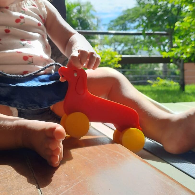 brincar com cachorrinho de rodas de puxar